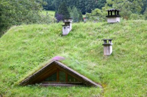 GreenRoof