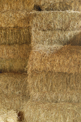 Straw bale construction  Climate Change Connection