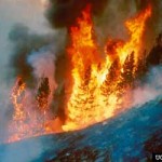 Permalink to We don’t need fossil gas energy Image of “forest fire” by Dave Powell, USDA Forest Service, Image #0806078, www.forestryimages.org