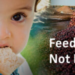 Feed People Not Landfills